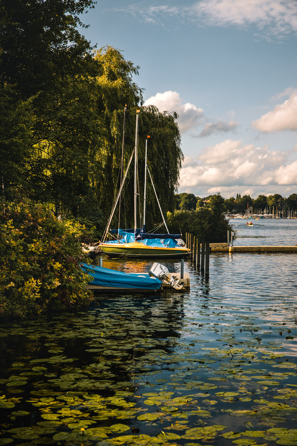 Außenalster im Sommer