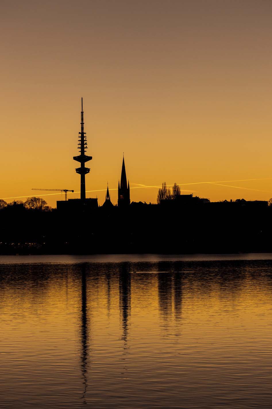 Golden Telemichel