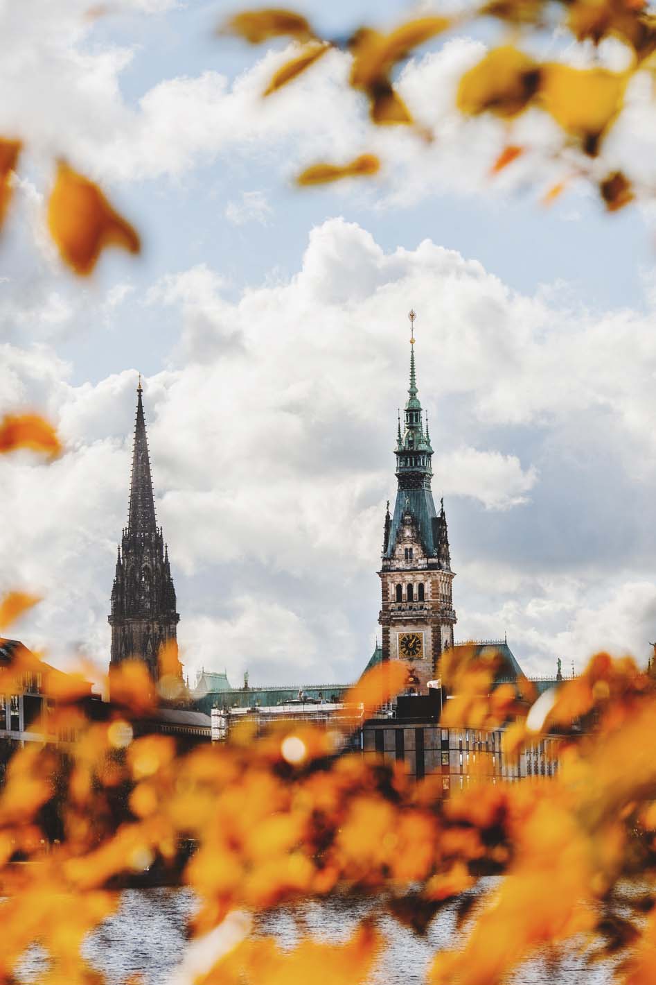 Hamburger Rathaus im Herbst