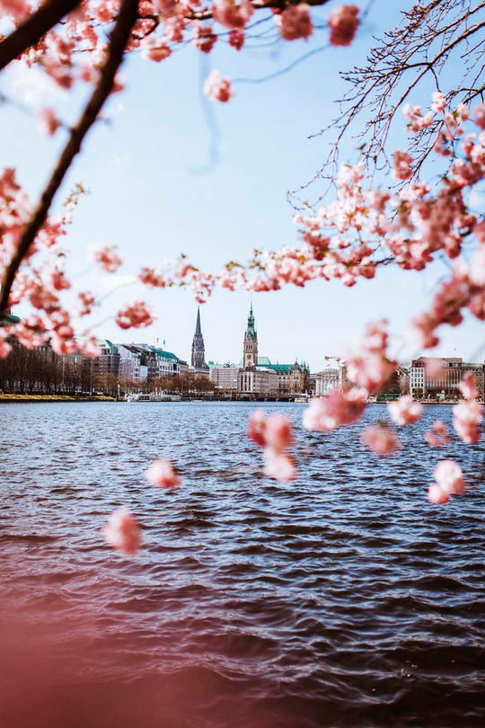 Hamburgs Frühling