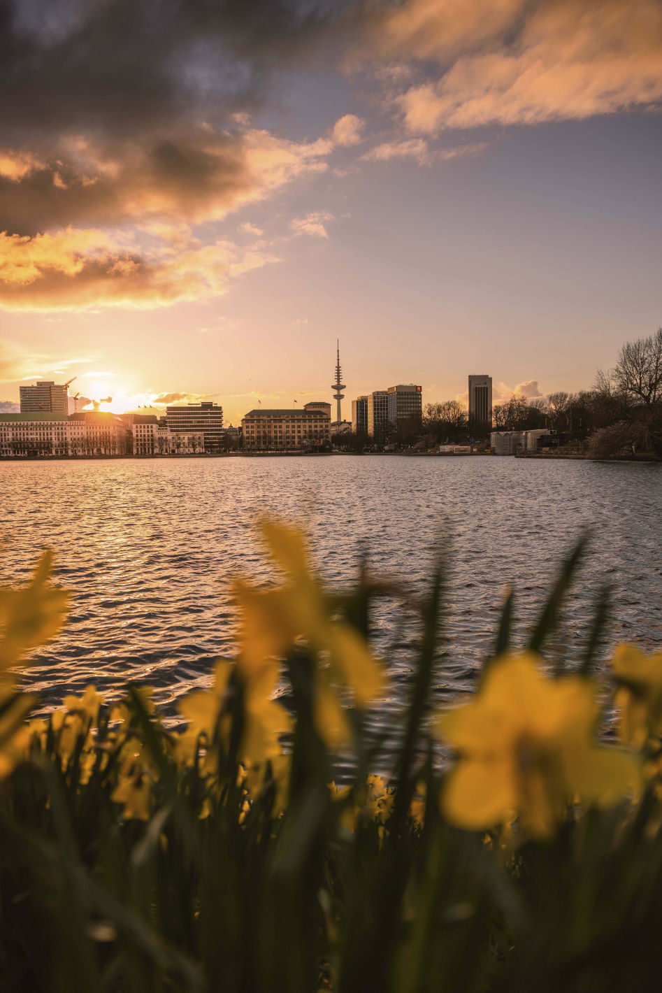Binnenalster im Frühling