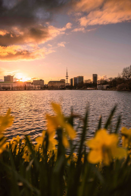 Binnenalster im Frühling