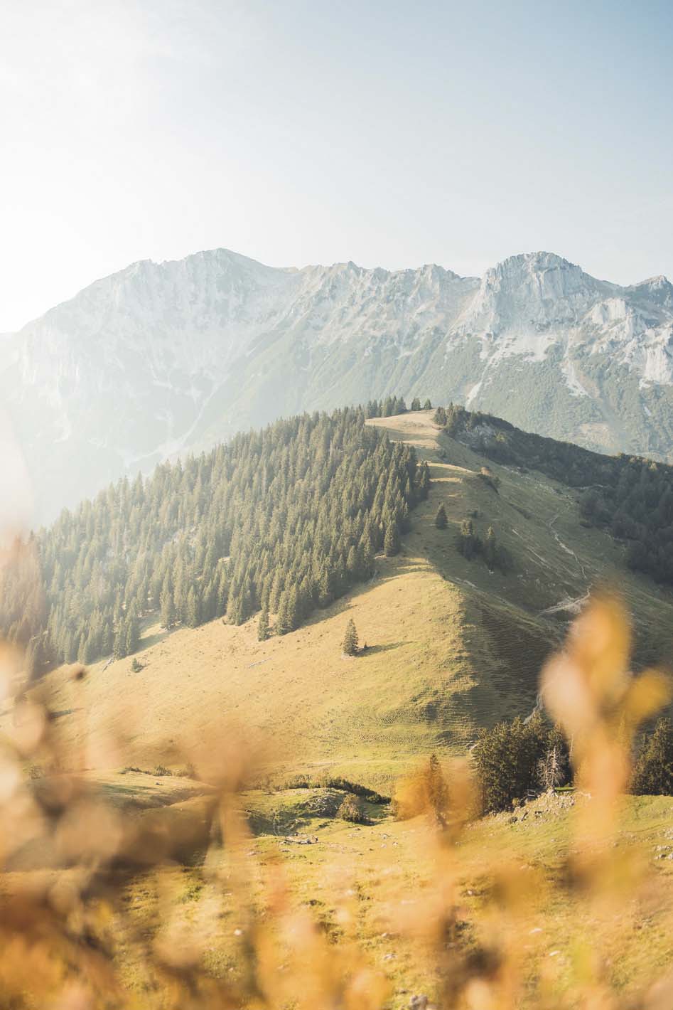 Alpenpanorama