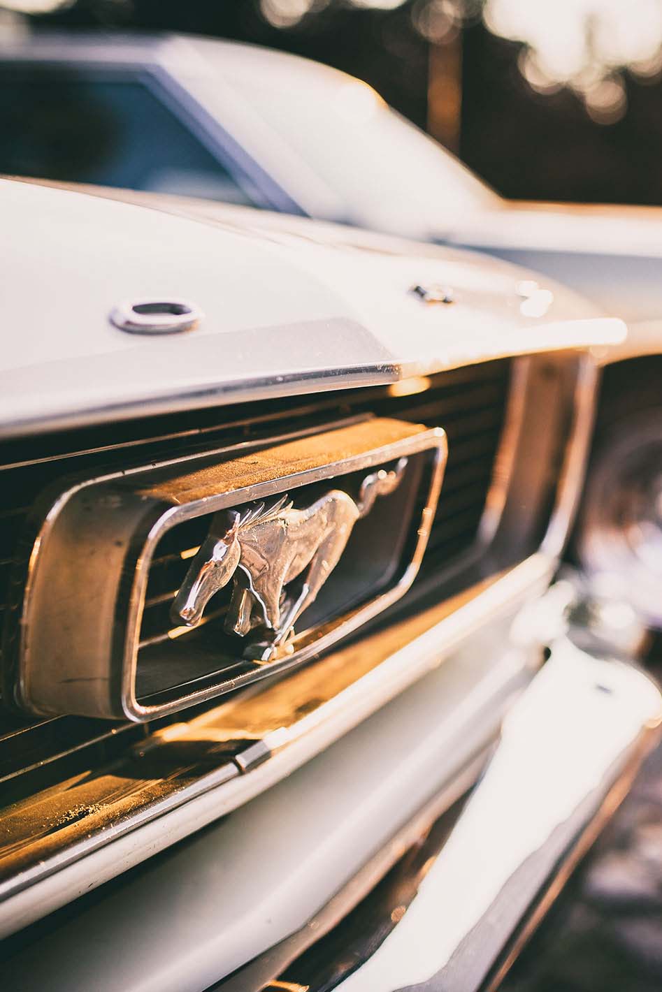 Mustang