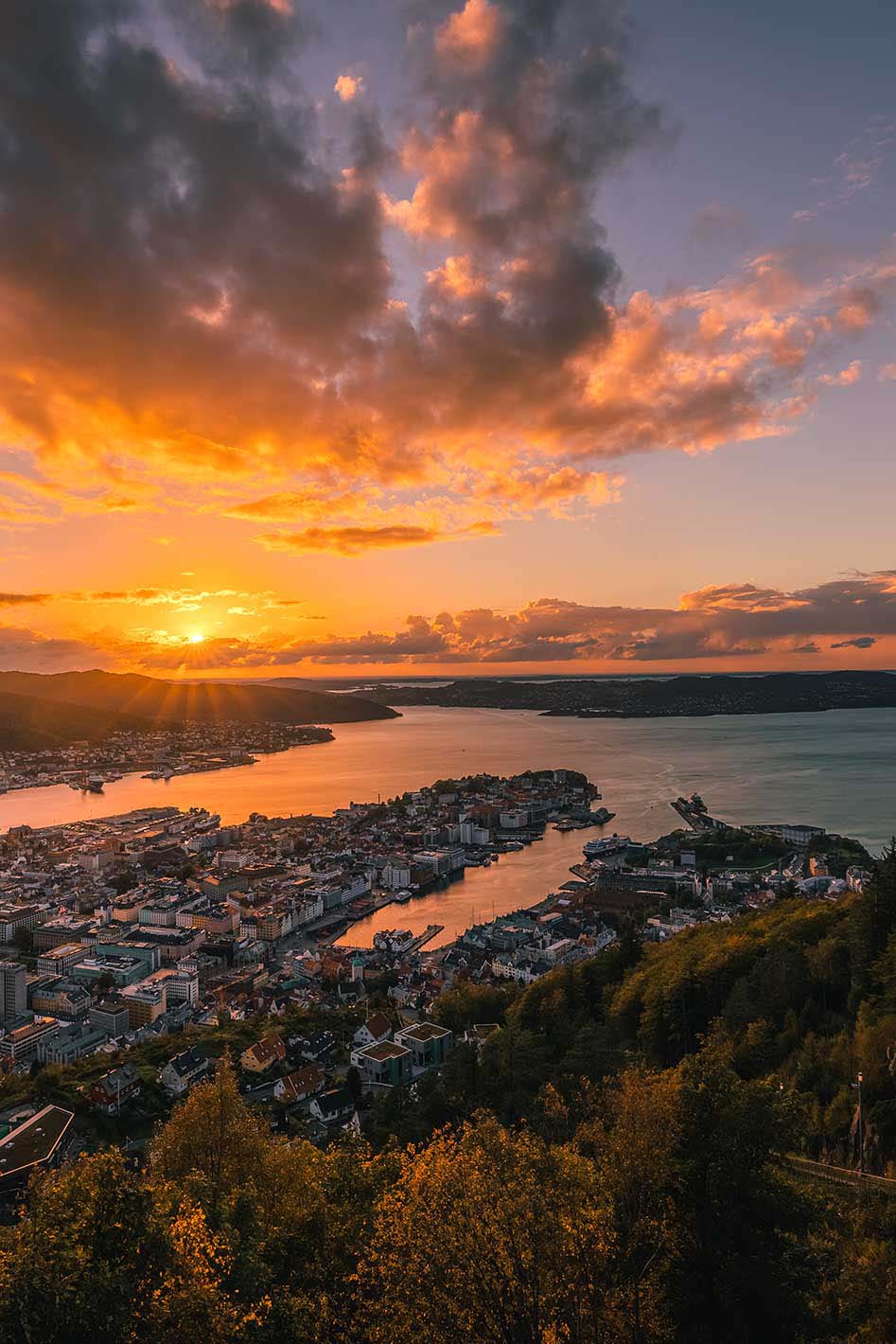 Fløyen
